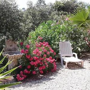 La Foret Pour Décor Montfort-sur-Argens